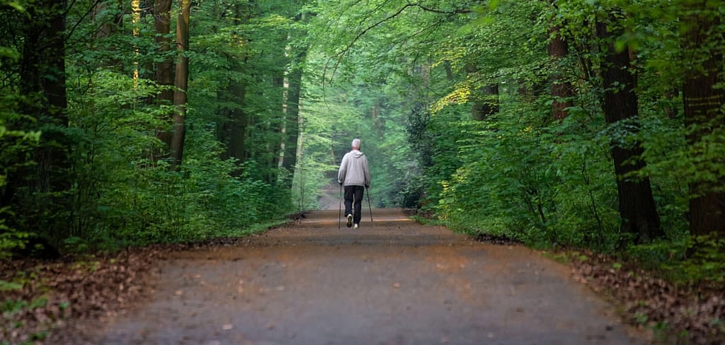 nordic-walking
