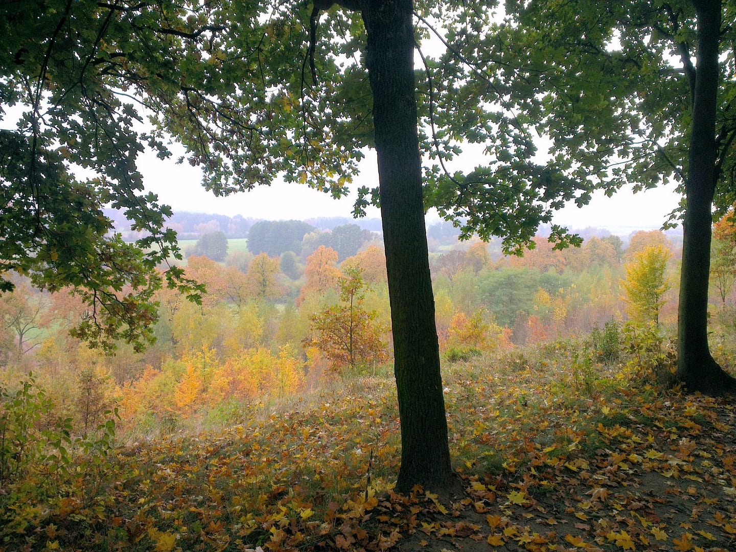 Park Jesienią