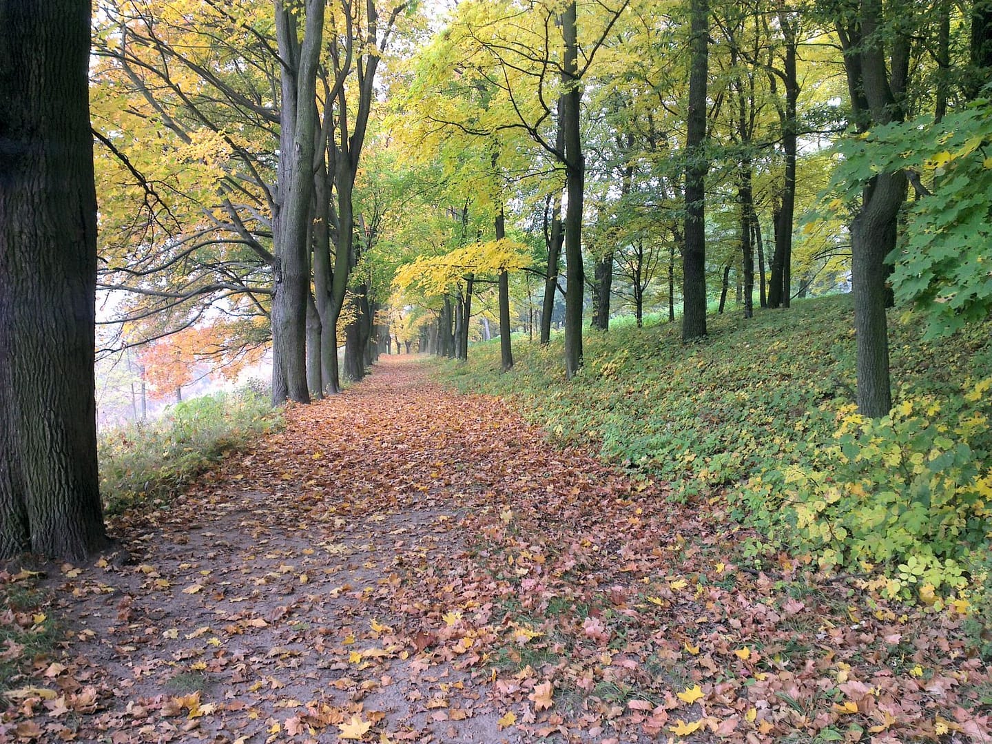 Park Jesienią