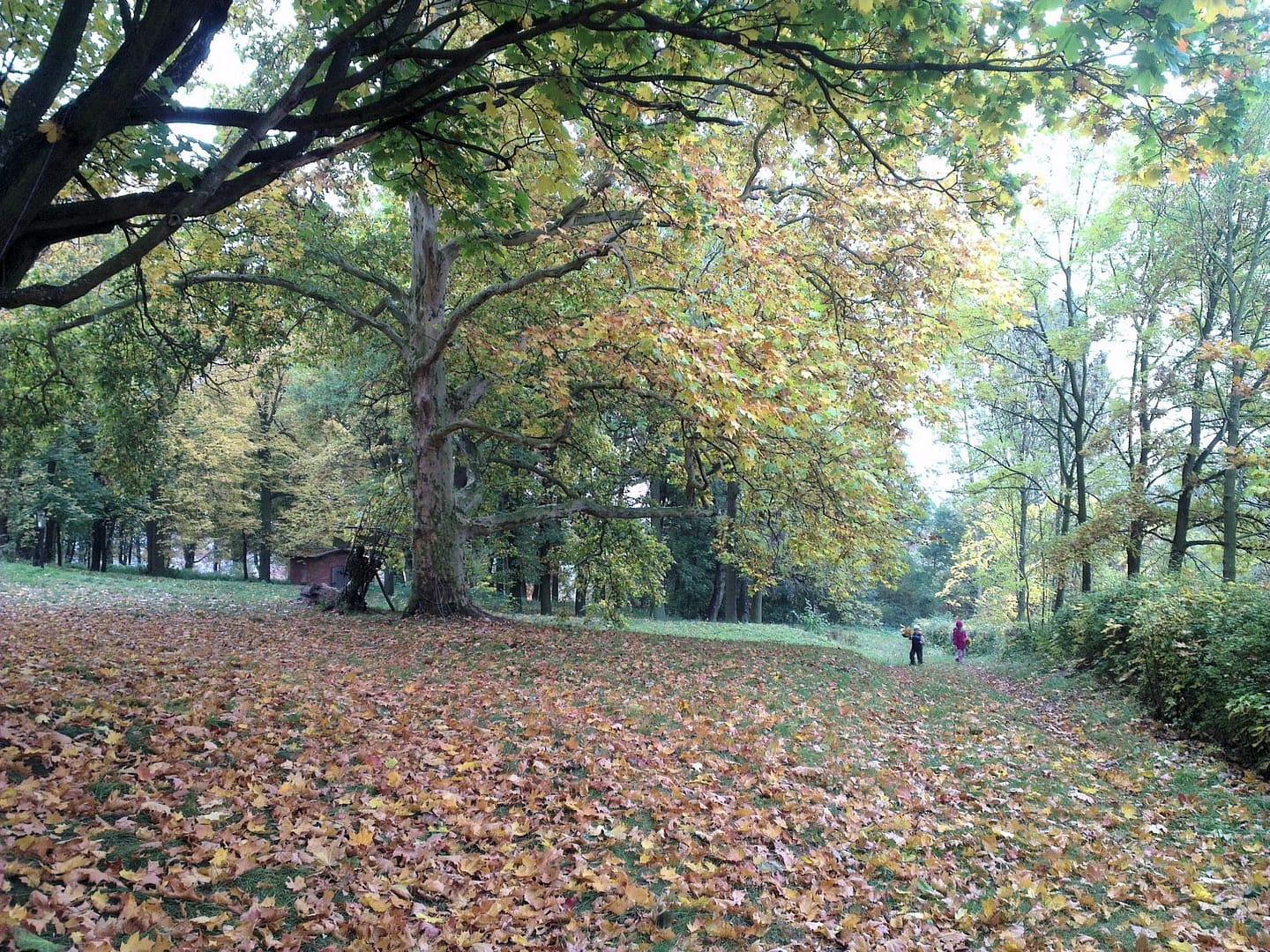 Park Jesienią