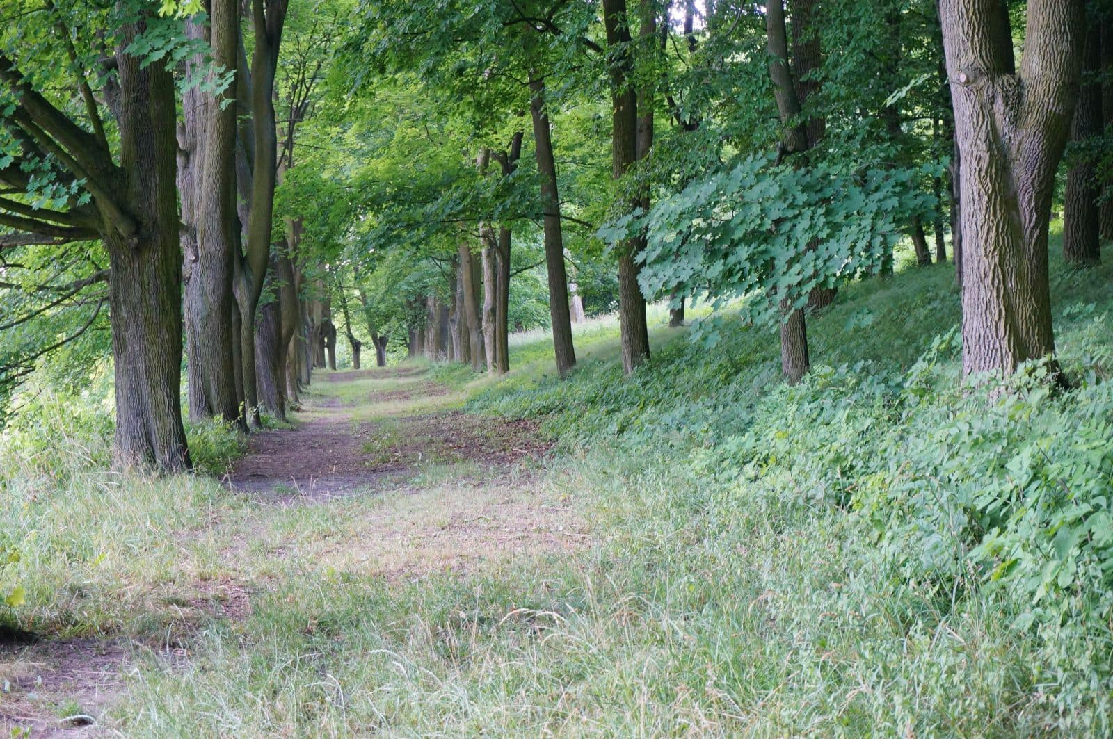 Park w Skłudzewie