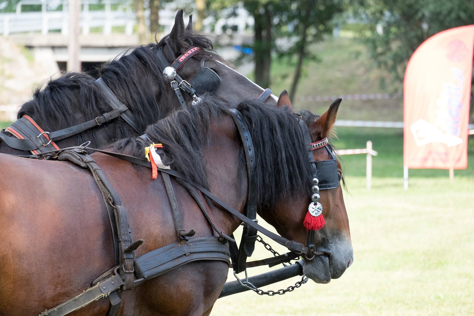 Dożynki Gminne 2015