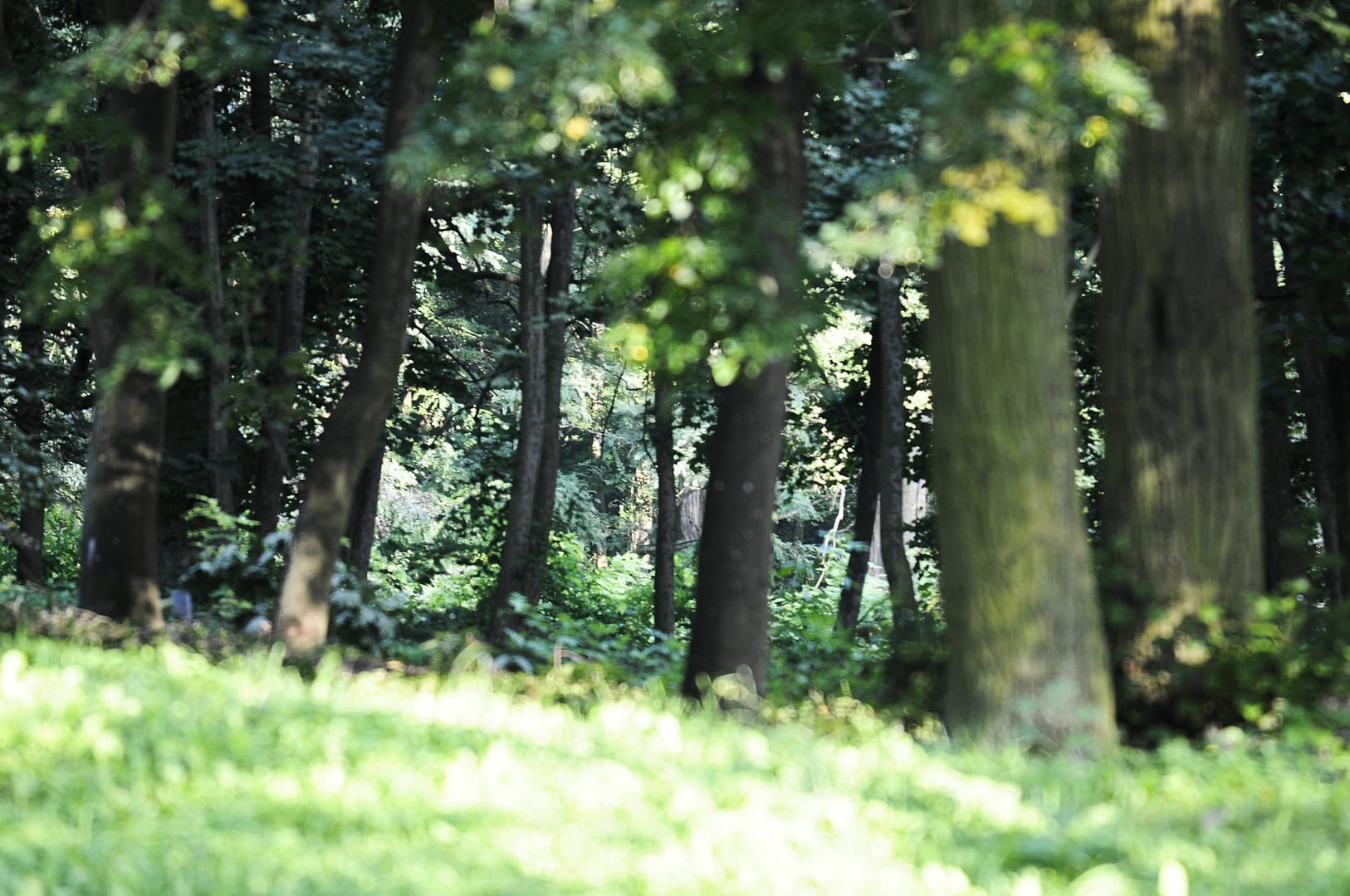 Zakątki Skłudzewa