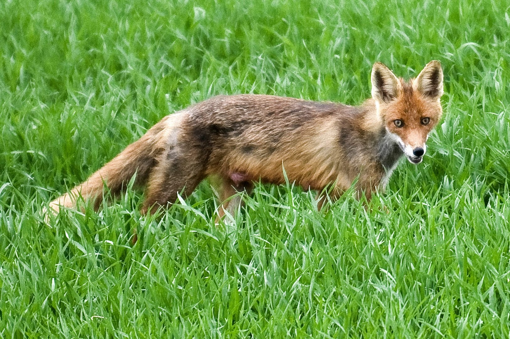 Zakątki Skłudzewa