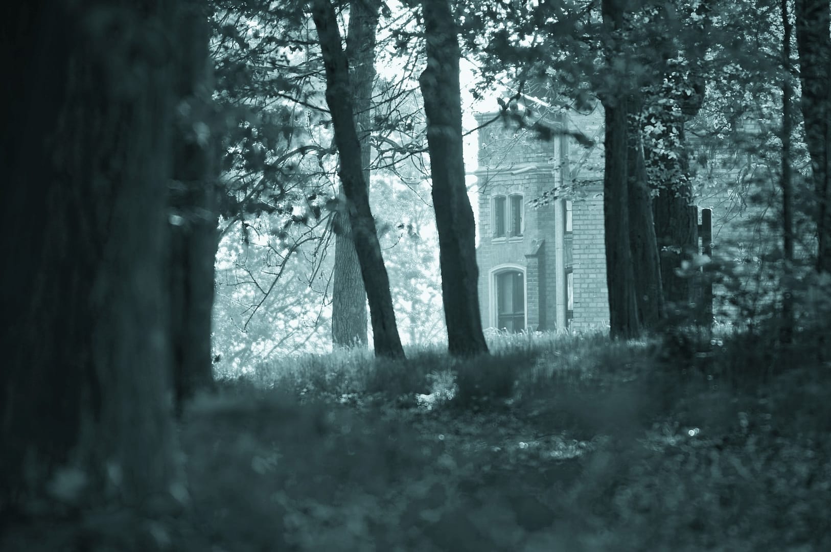 Zakątki Skłudzewa
