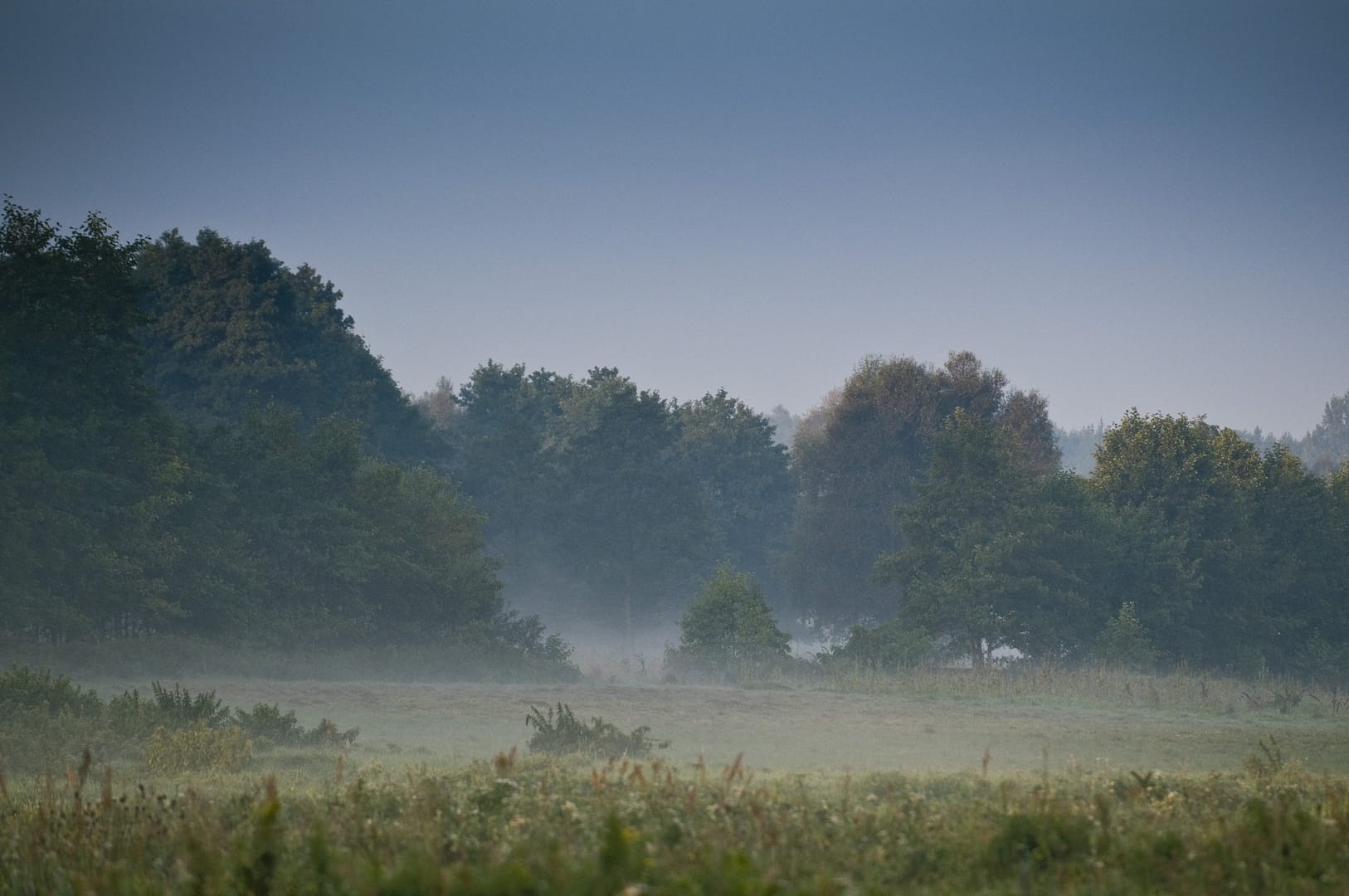 Zakątki Skłudzewa