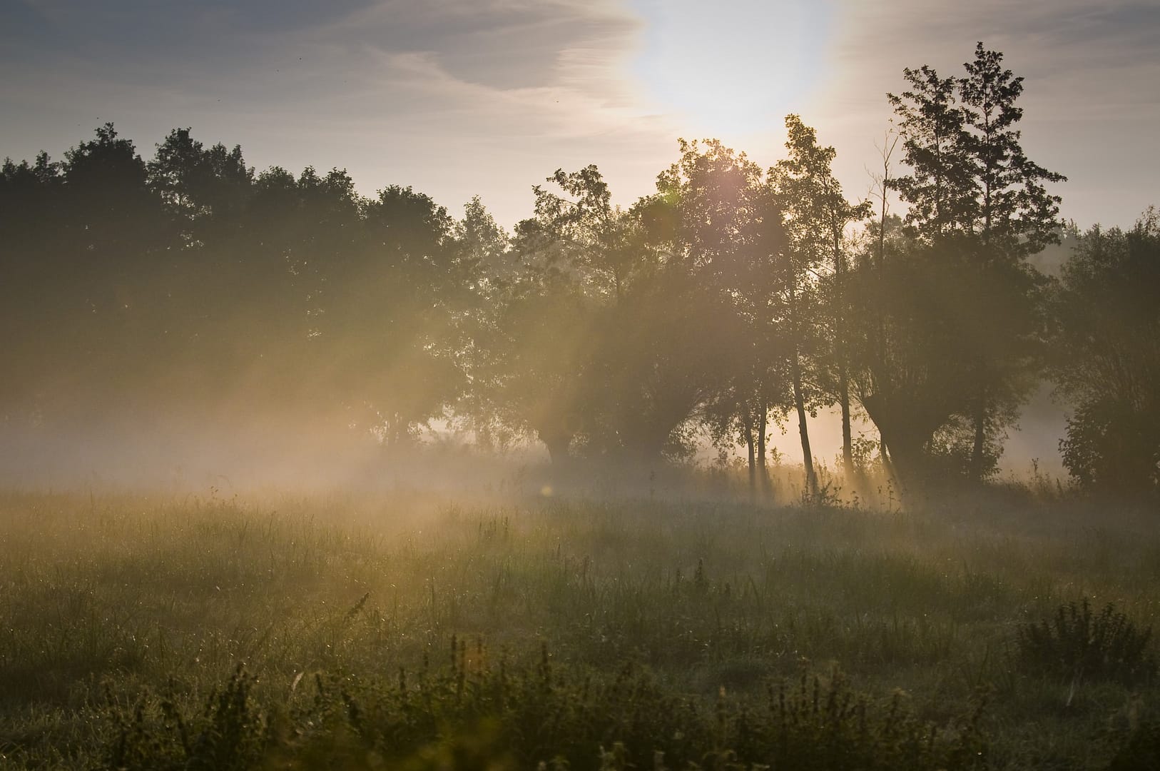 Zakątki Skłudzewa