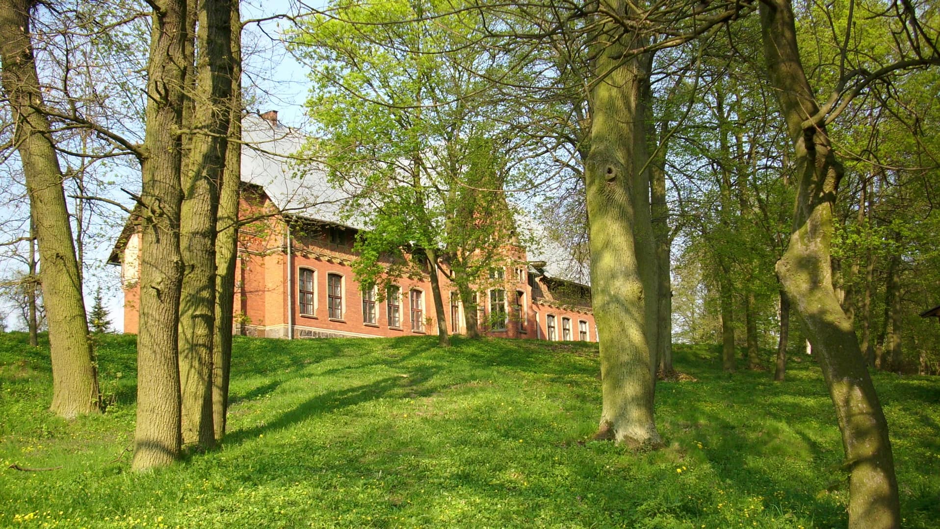 Park w Skłudzewie