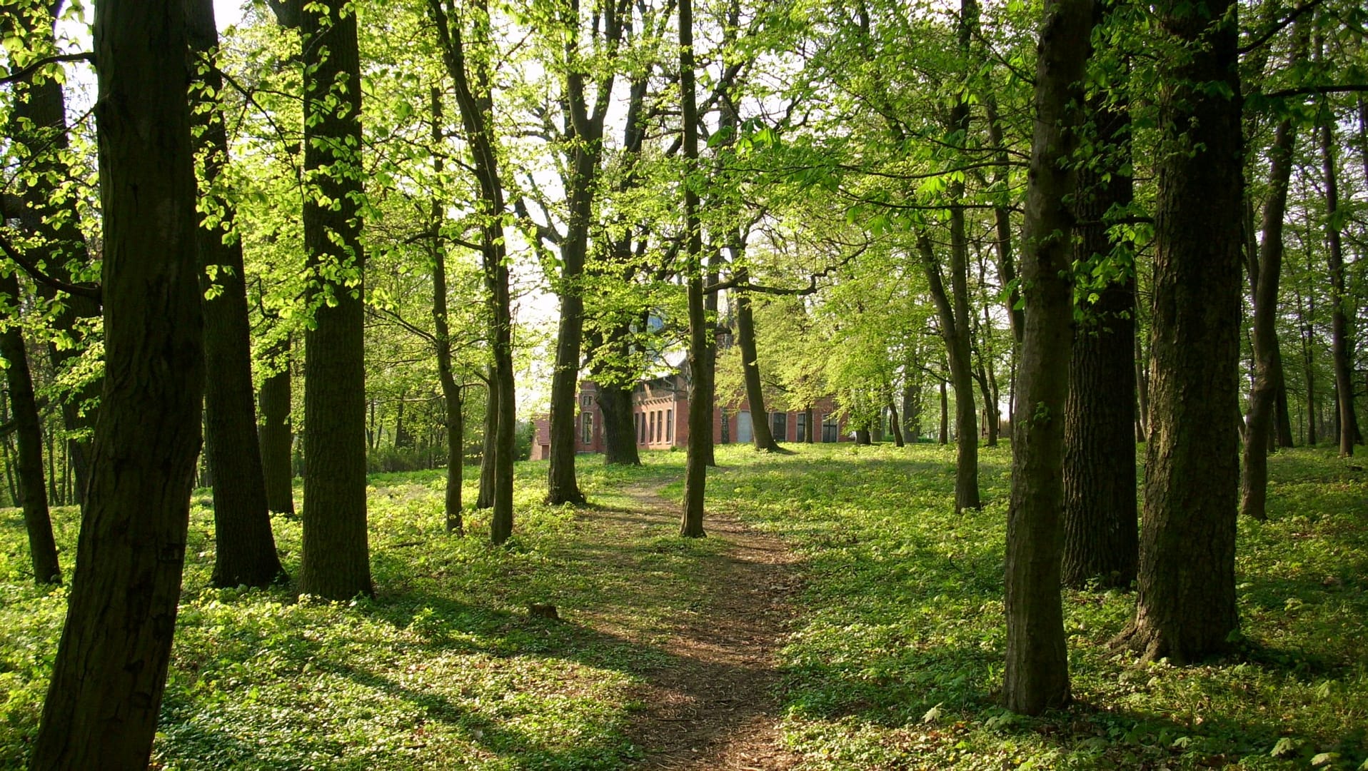 Park w Skłudzewie