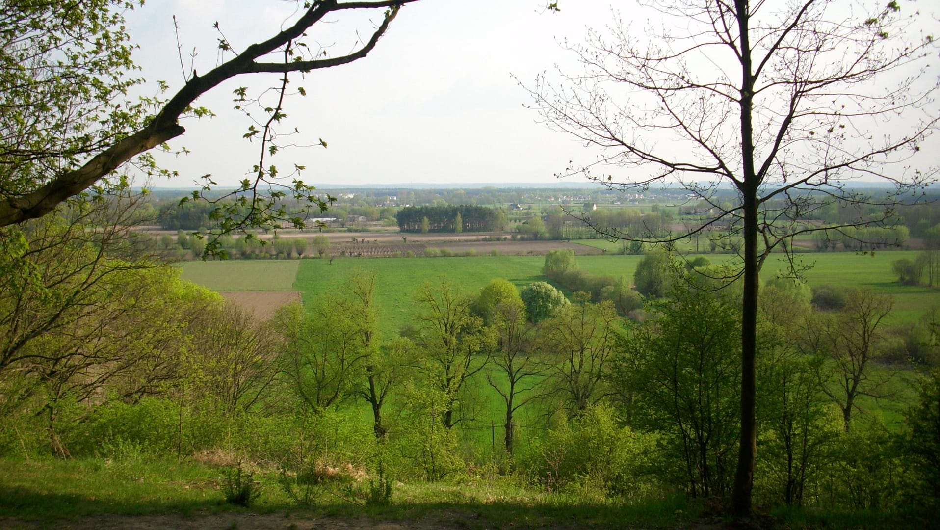 Park w Skłudzewie