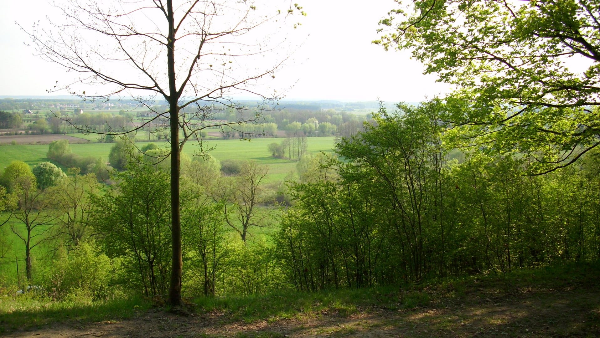 Park w Skłudzewie