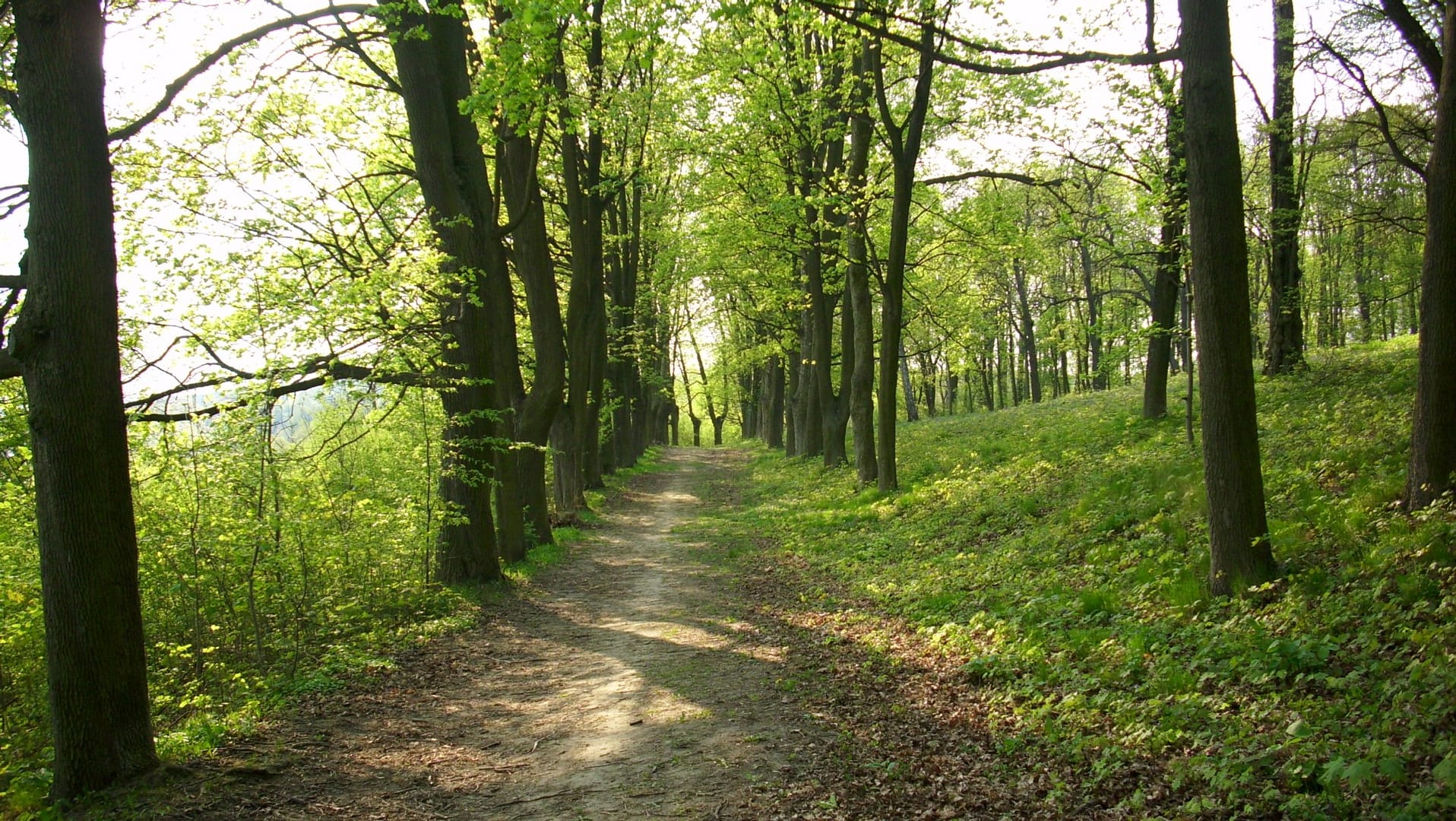 Park w Skłudzewie