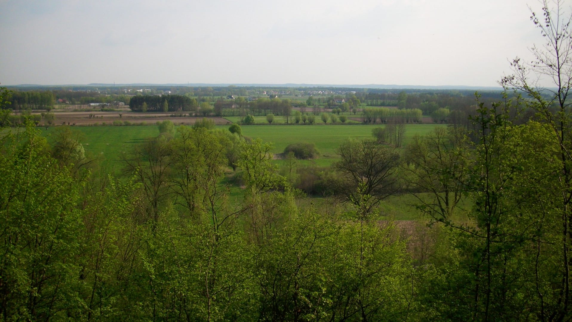 Park w Skłudzewie