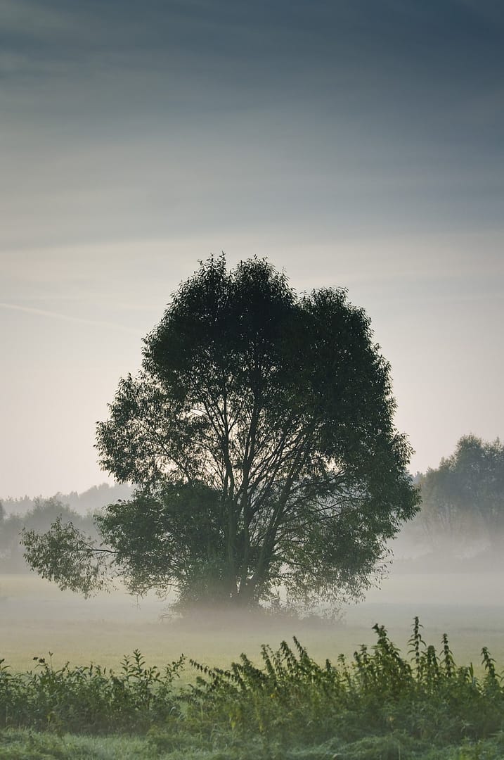 Zakątki Skłudzewa