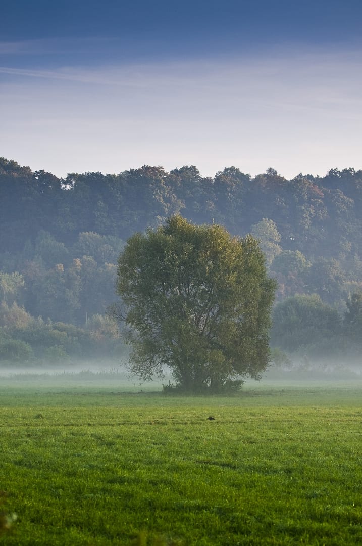 Zakątki Skłudzewa