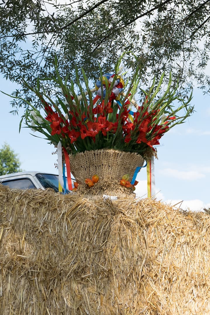 Dożynki Gminne 2015