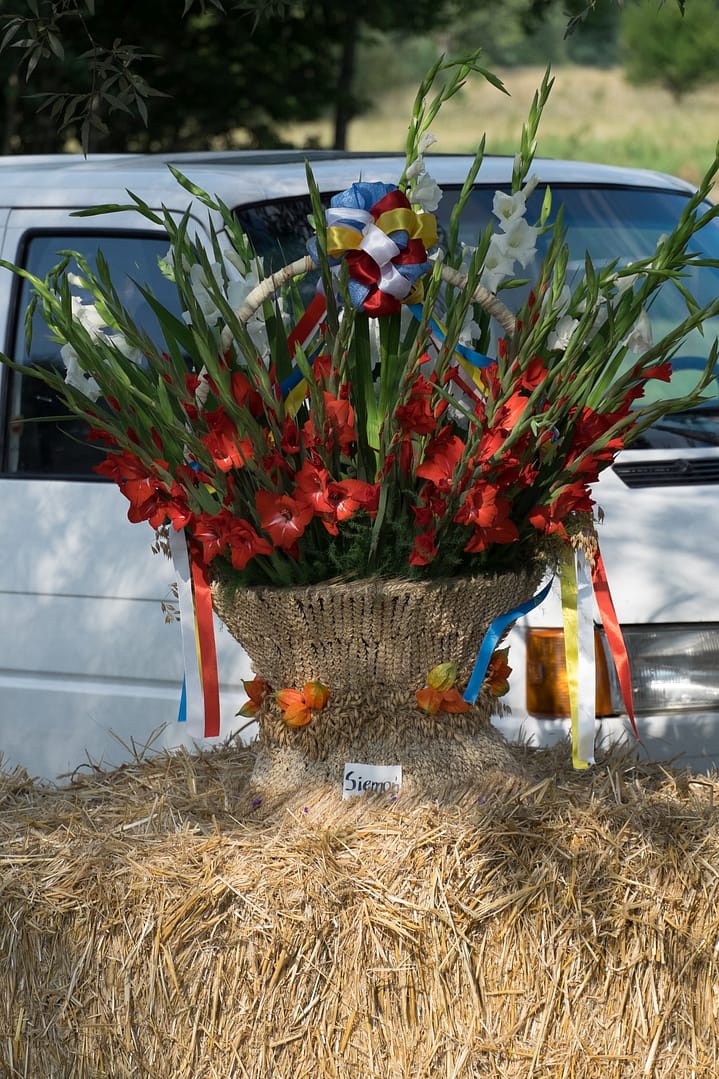 Dożynki Gminne 2015