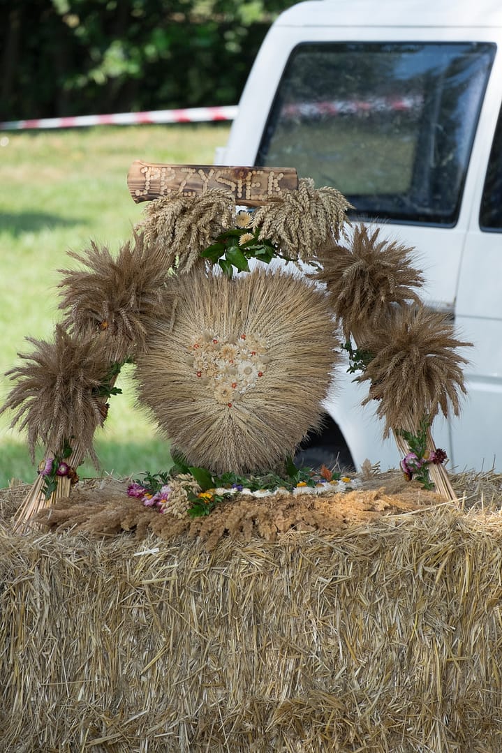 Dożynki Gminne 2015