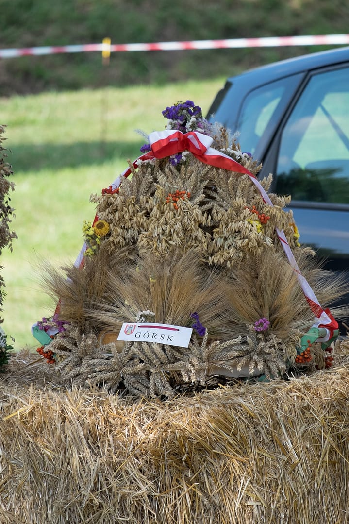 Dożynki Gminne 2015